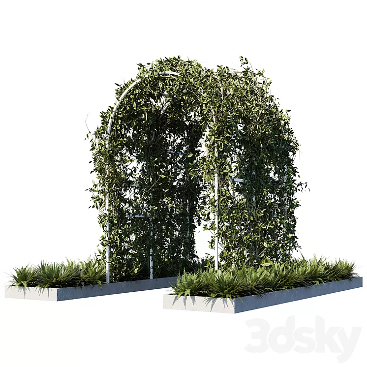 Outdoor_plants01 3D Model Outdoor_plants01 3D Model