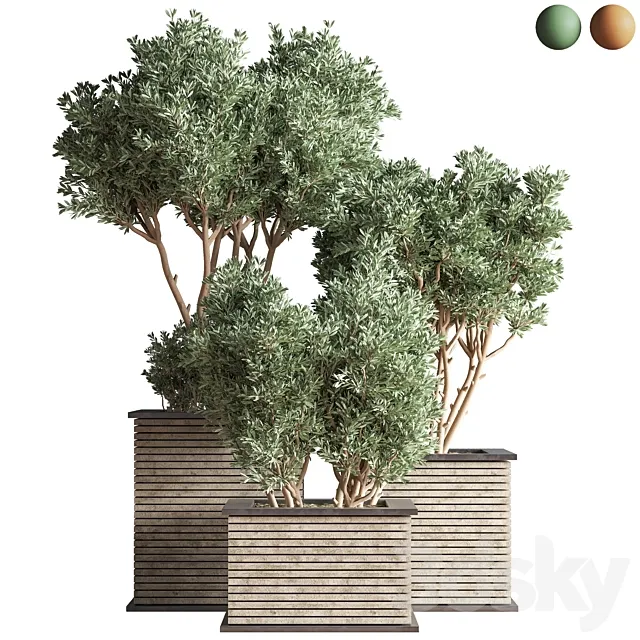 Outdoor_Plants_tree_22 3D Model Outdoor_Plants_tree_22 3D Model