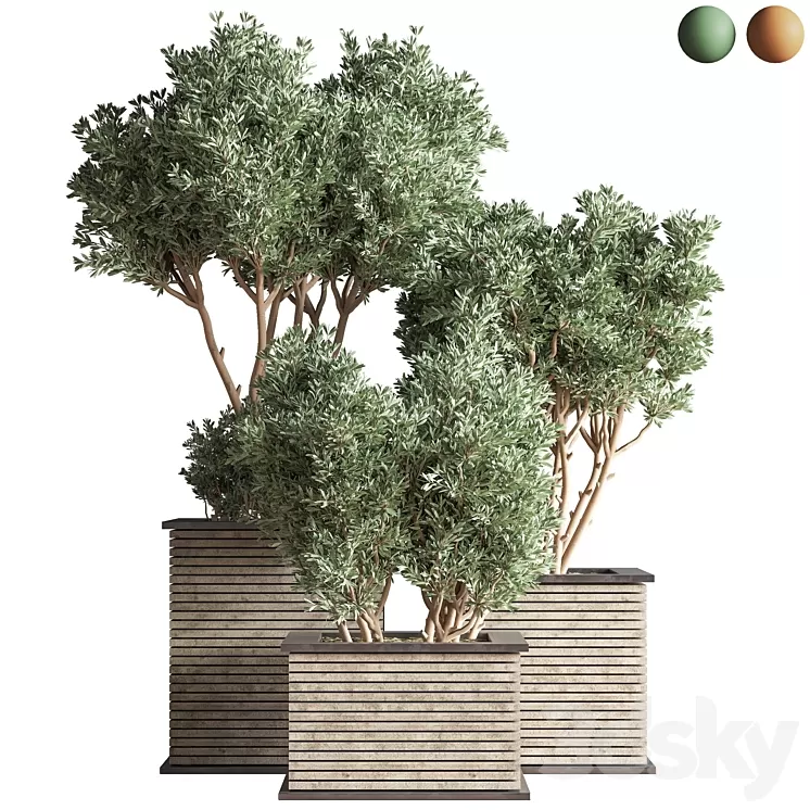 Outdoor_Plants_tree_22 3D Model Free Download