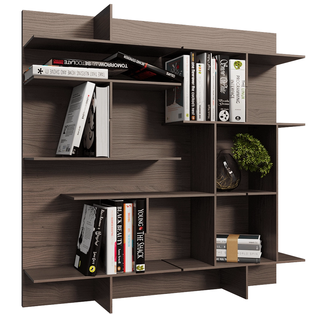 Pacini & Cappellini – Modular wall bookcase Maze 3D Model Pacini & Cappellini – Modular wall bookcase Maze 3D Model