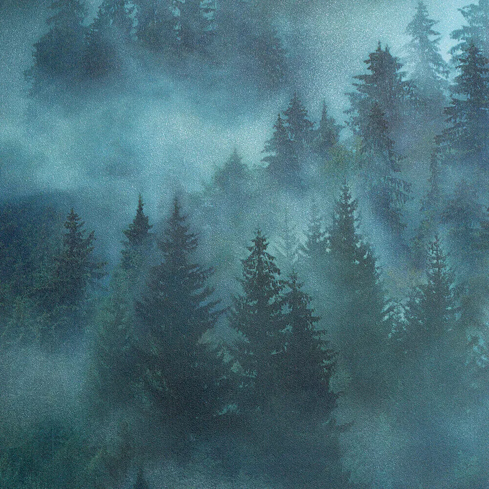 PALITRA – Wallpaper My Forest 3D Model