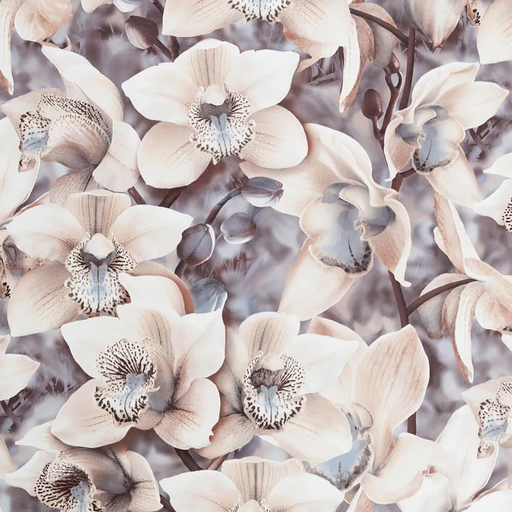 PALITRA – Wallpaper Orchidea 3D Model