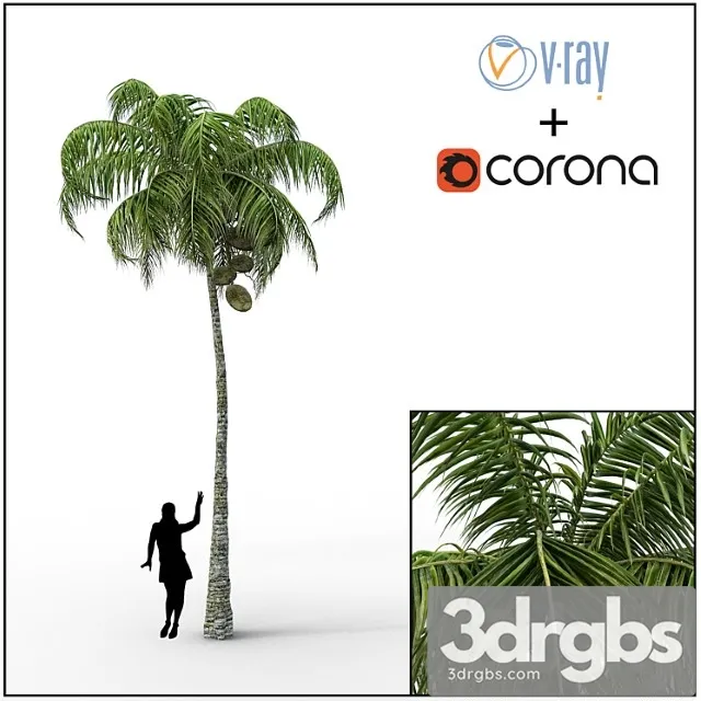 Palm 3D Model Download