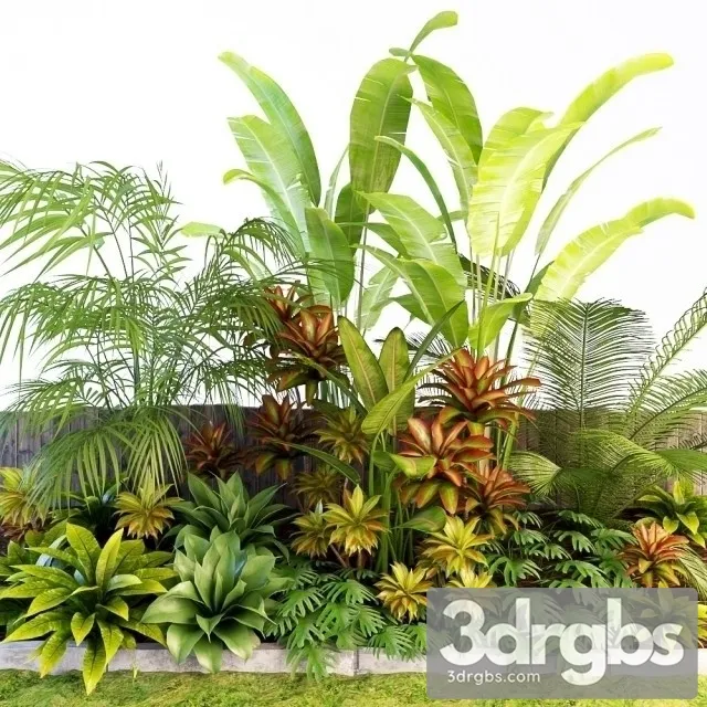 Palm Composition 3D Model Download