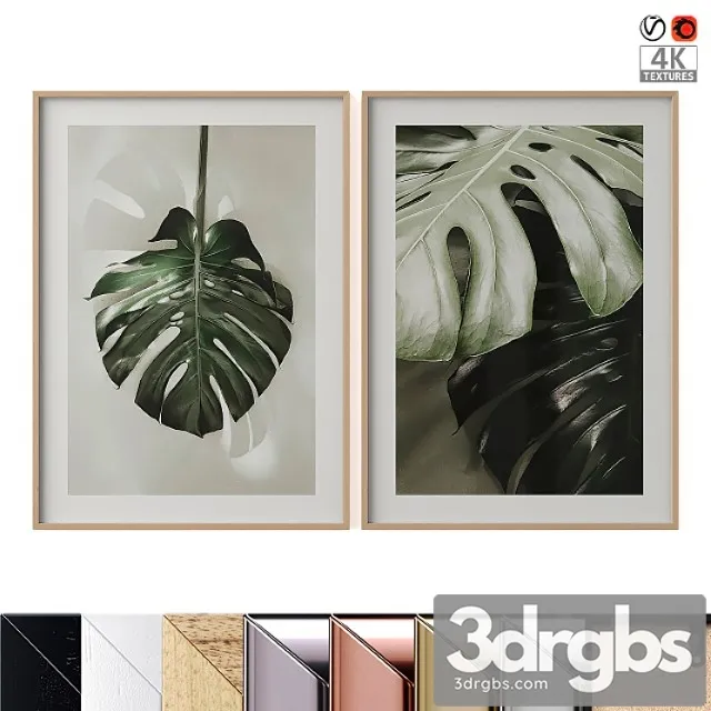 Palm leaf posters Palm leaf posters