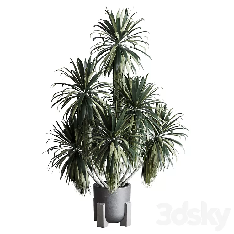 palm plant in concrete dirt vase – Indoor plant 275 3D Model Free Download palm plant in concrete dirt vase – Indoor plant 275 3D Model Free Download