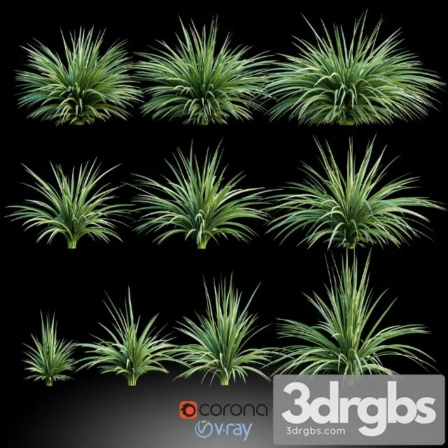 Palm Small 3 3D Model Download