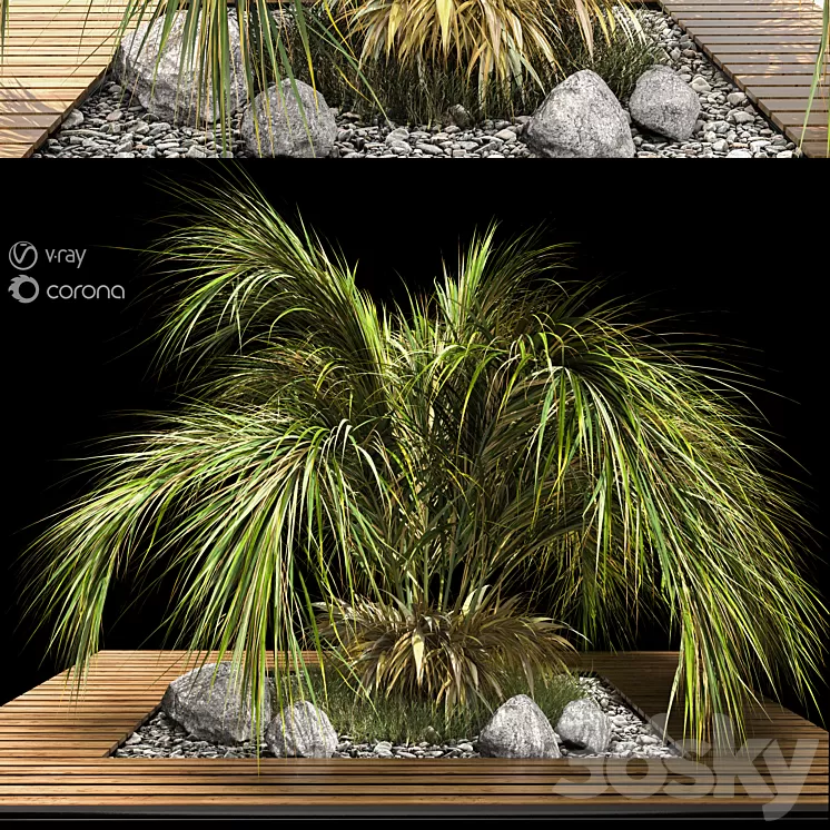 palm tree 3D Model Free Download