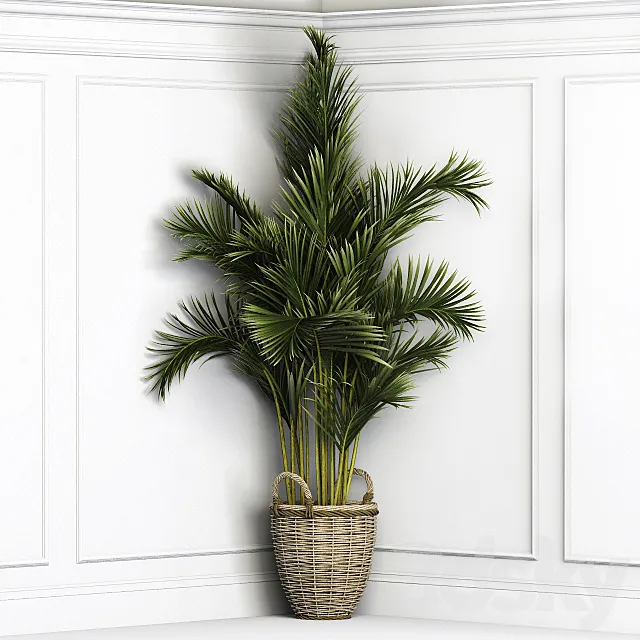 Palma corner 3DModel Palma corner 3DModel