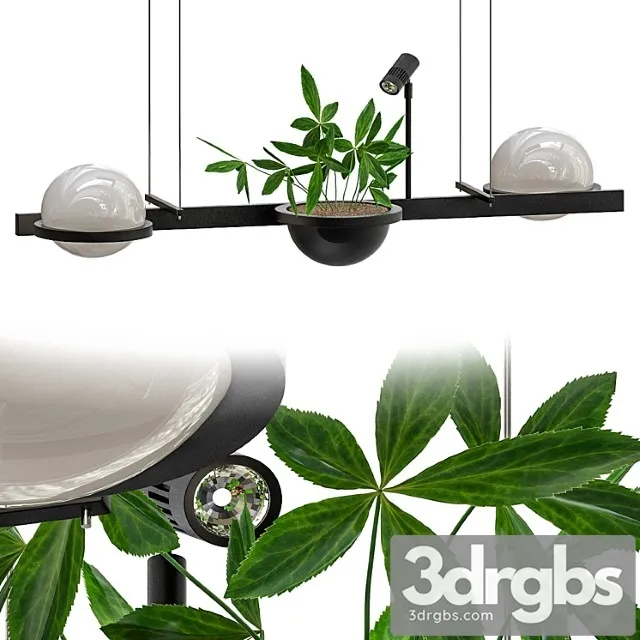 Palma Vibi 3D Model Download