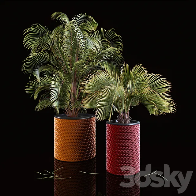 Palms 3D Model Palms 3D Model