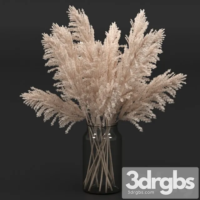 Pampas bouquet Pampas bouquet