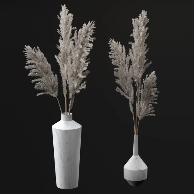 Pampas bouquets 3D Model