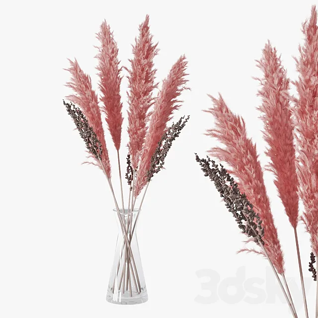 Pampas grass 04 3DModel Pampas grass 04 3DModel