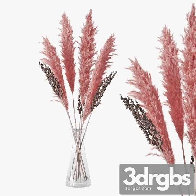 Pampas grass 04 Pampas grass 04