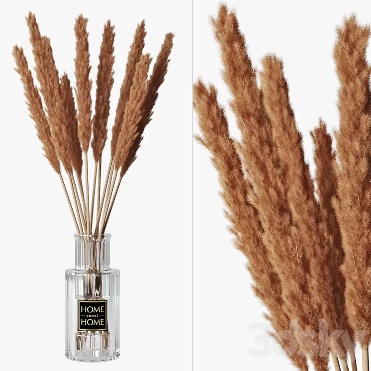 Pampas grass 05 3D Model