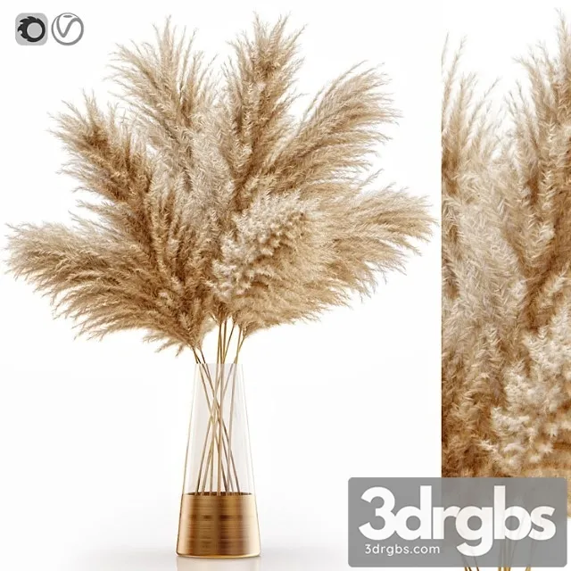 Pampas Grass 11 3D Model Download
