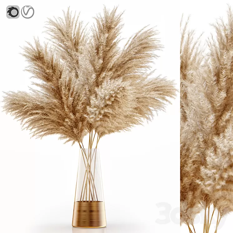Pampas grass 11 3D Model Pampas grass 11 3D Model