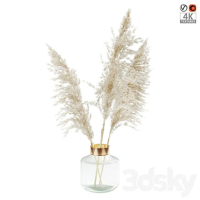 ????????? ????? (Pampas grass) 3DModel ????????? ????? (Pampas grass) 3DModel