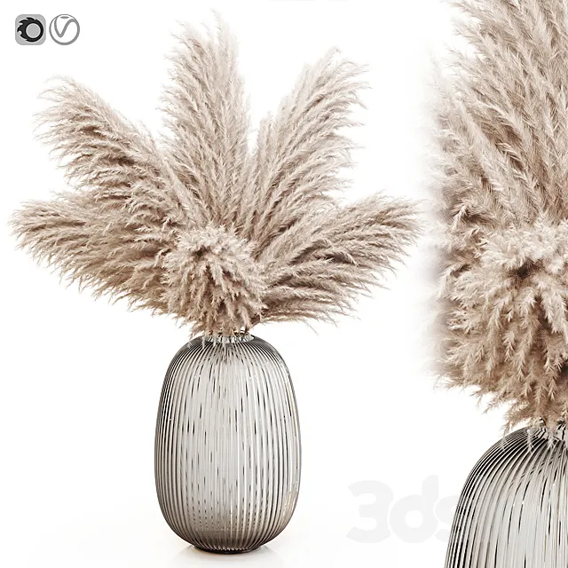 Pampas grass 8 3D Model Pampas grass 8 3D Model