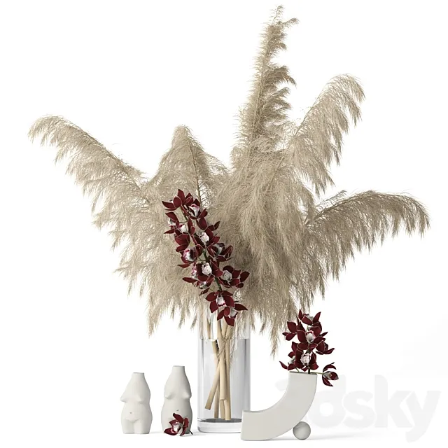 Pampas grass and Cymbidium 3DModel