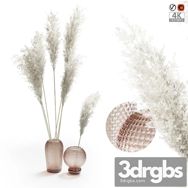 Pampas Grass Bouquet 1 3D Model Download Pampas Grass Bouquet 1 3D Model Download