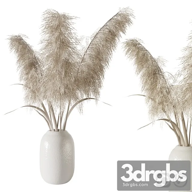 Pampas grass bouquet Pampas grass bouquet
