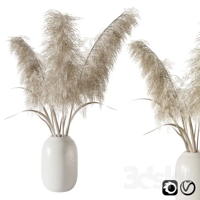 Pampas grass bouquet 3D Model