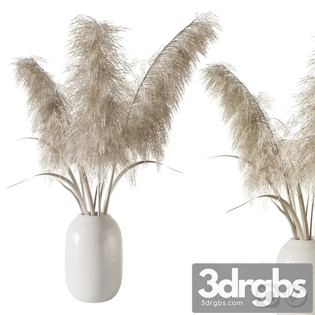 Pampas Grass Bouquet 3D Model Download Pampas Grass Bouquet 3D Model Download