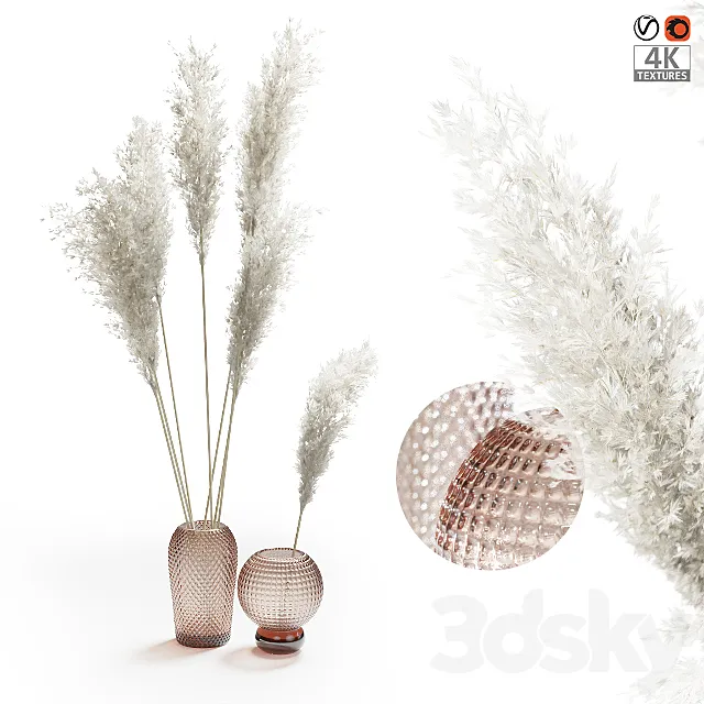 Pampas grass bouquet 3DModel