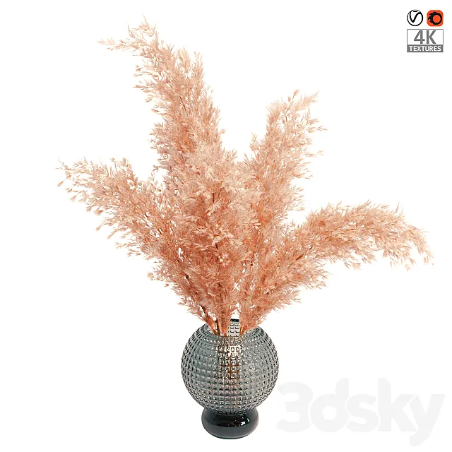 Pampas grass bouquet 3DModel