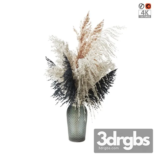 Pampas grass bouquet (????? ?????????? ?????) Pampas grass bouquet (????? ?????????? ?????)