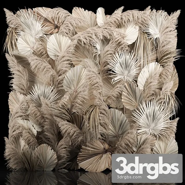 Pampas Grass Dry Palm Branches Cortaderia Leaves And Reeds 274 3D Model Download