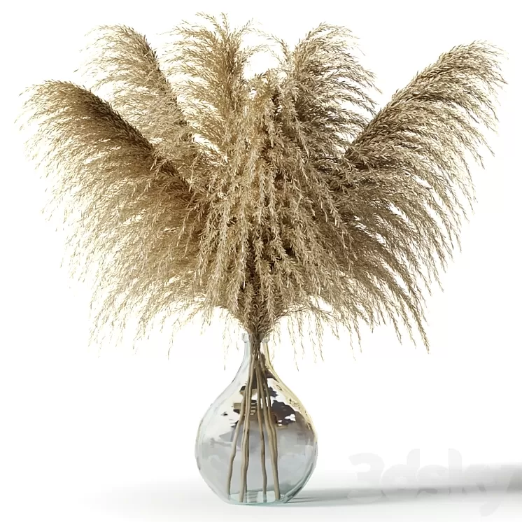 Pampas grass in a glass vase – Sofia Bouquet 3D Model Pampas grass in a glass vase – Sofia Bouquet 3D Model
