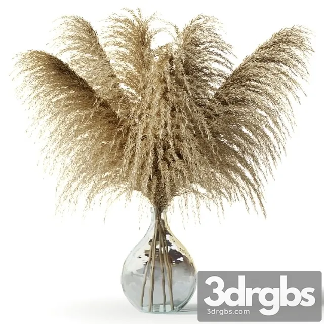 Pampas grass in a glass vase – sofia bouquet Pampas grass in a glass vase – sofia bouquet