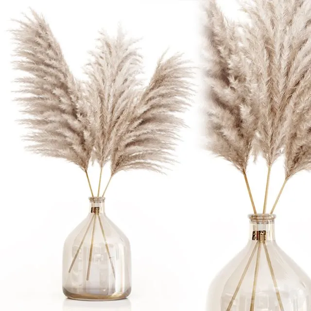 Pampas grass in glass vase 7 3D Model Pampas grass in glass vase 7 3D Model