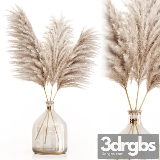 Pampas grass in glass vase 7 Pampas grass in glass vase 7