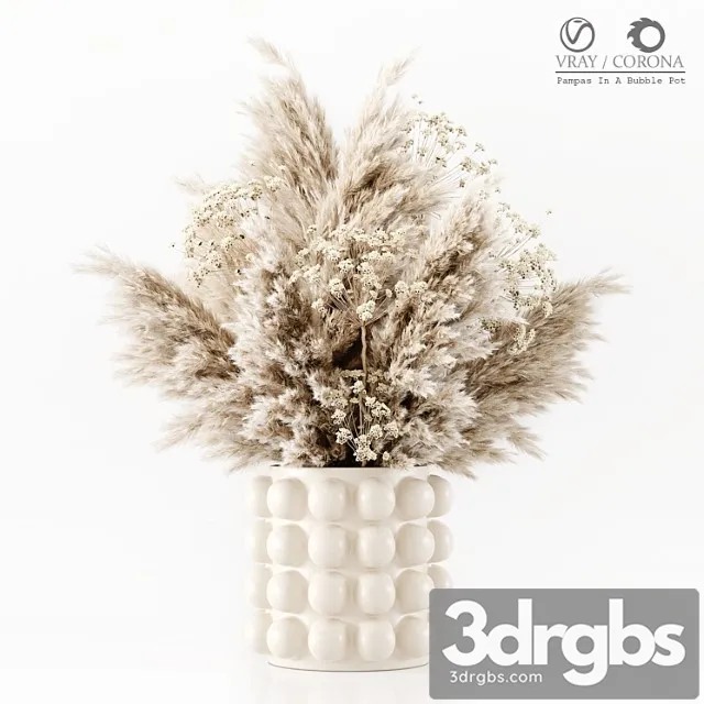 Pampas in a bubble pot Pampas in a bubble pot