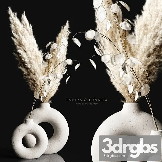 Pampas & lunaria Pampas & lunaria