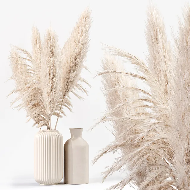 Pampas Plant 03 3D Model Pampas Plant 03 3D Model