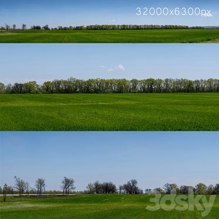Panorama of a green field with flowers and trees. 32k 3D Model Free Download Panorama of a green field with flowers and trees. 32k 3D Model Free Download