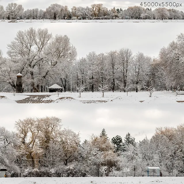 Panorama of the park and snow-covered trees. 45k 3DModel
