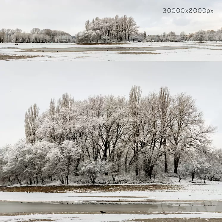 Panorama of the park with a lake and snow-covered trees. 30k 3D Model Free Download