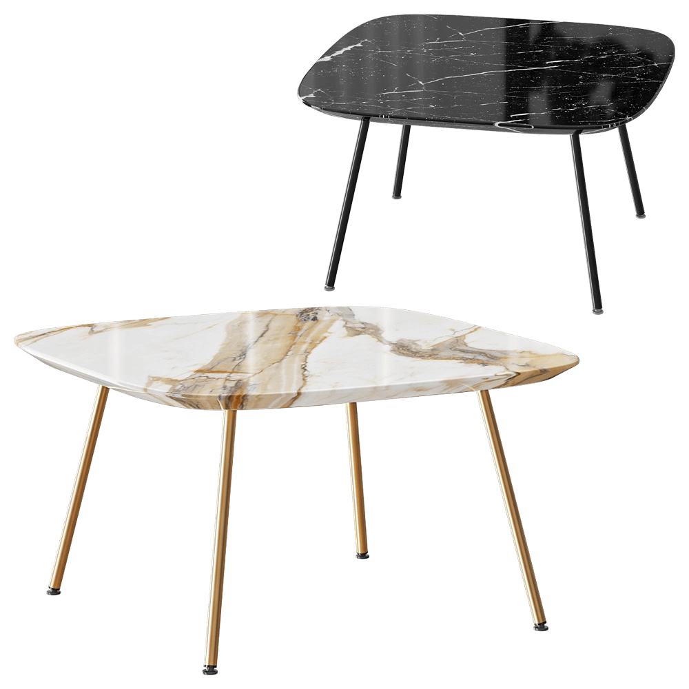 Paola Zani – Coffee table Asia 3D Model