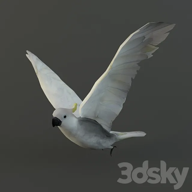 Parrot cockatoo 3DModel