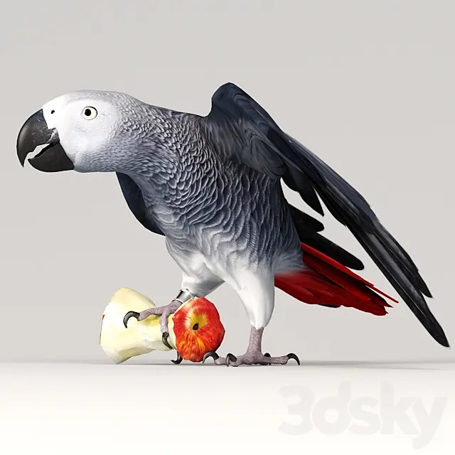 Parrot Jaco 3D Model