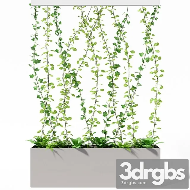 Partition plant Partition plant