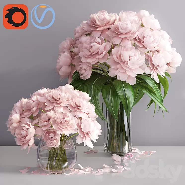 pastel pink peonies in 2 glass vases set 3D Model