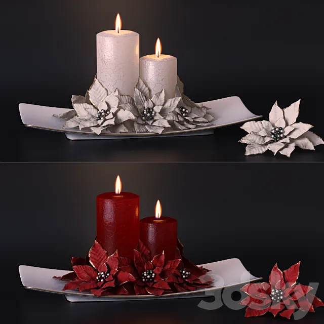 Paunsettia 3D Model Paunsettia 3D Model