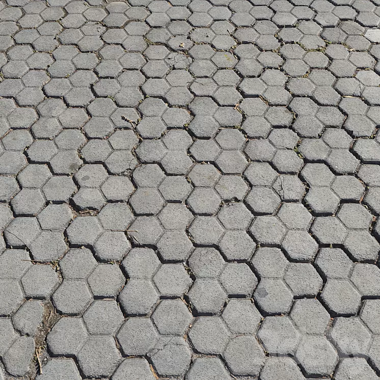 Pavement tiles_7 3D Model